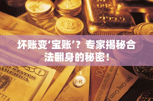武汉坏账变‘宝账’？专家揭秘合法翻身的秘密！