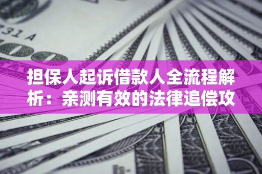 武汉担保人起诉借款人全流程解析：亲测有效的法律追偿攻略
