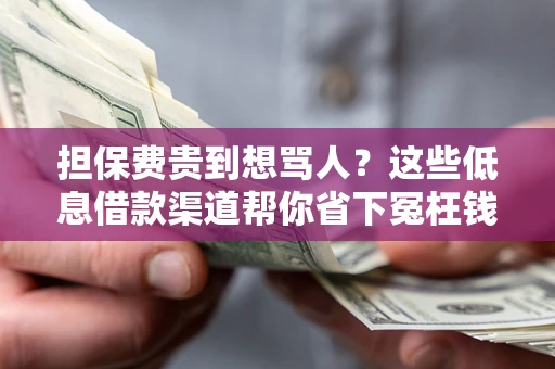 武汉担保费贵到想骂人？这些低息借款渠道帮你省下冤枉钱