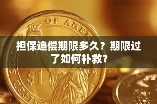 武汉担保追偿期限多久？期限过了如何补救？