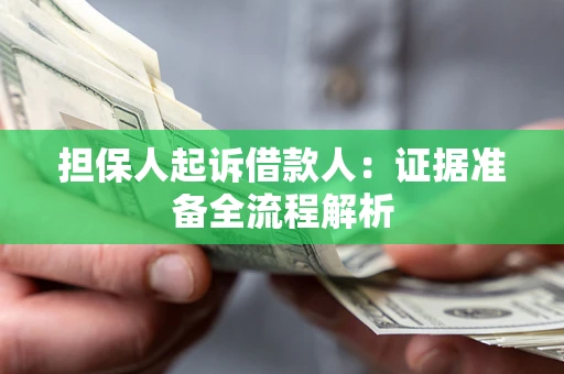 武汉担保人起诉借款人：证据准备全流程解析