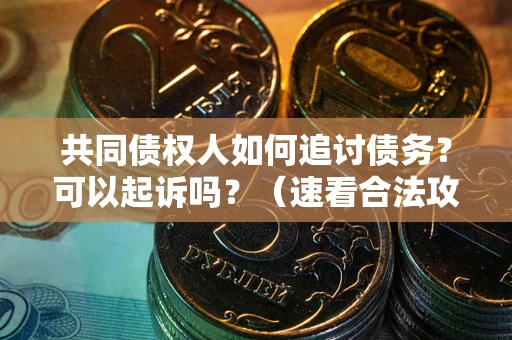 武汉共同债权人如何追讨债务？可以起诉吗？（速看合法攻略）