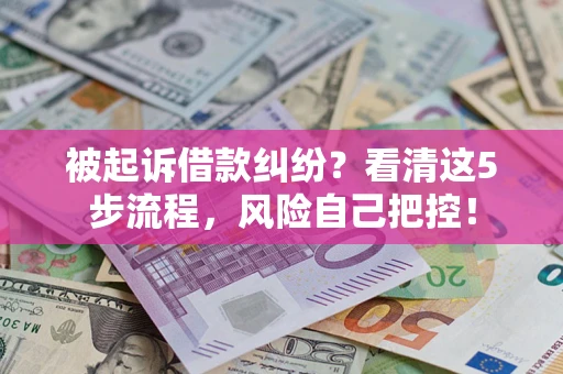 武汉被起诉借款纠纷？看清这5步流程，风险自己把控！